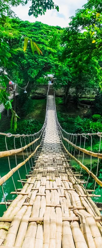 Bamboo pedestrian suspension bridge over river in tropical forest, Bohol, Philippines